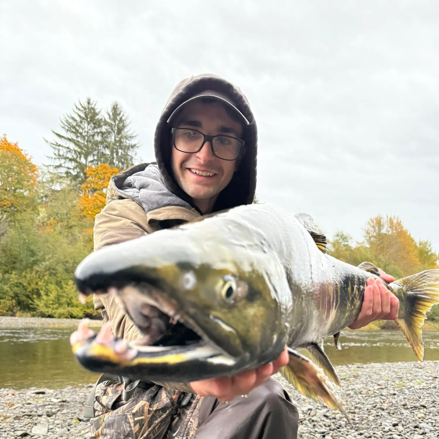 The most recent Chum salmon catches on Fishbrain
