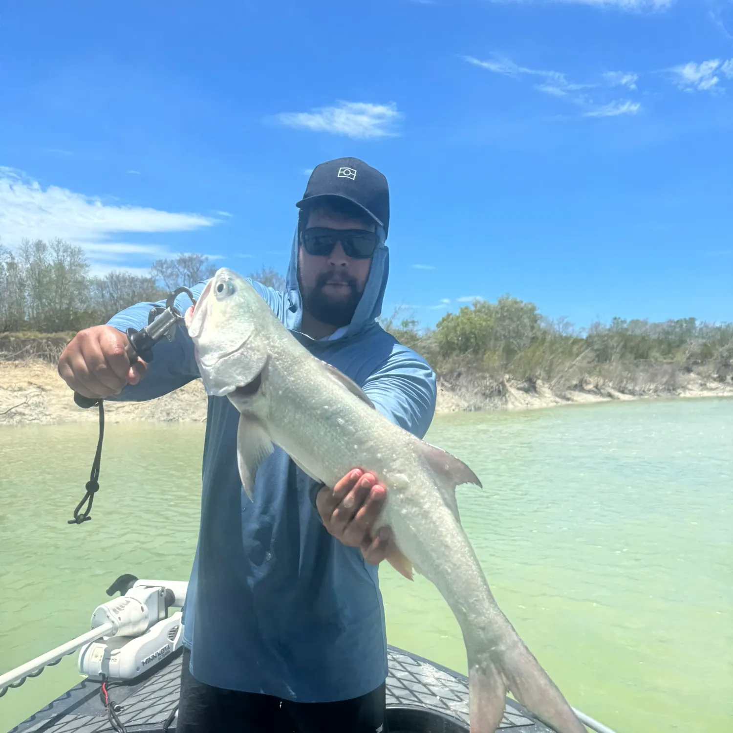 The most recent Fourfinger threadfin catches on Fishbrain