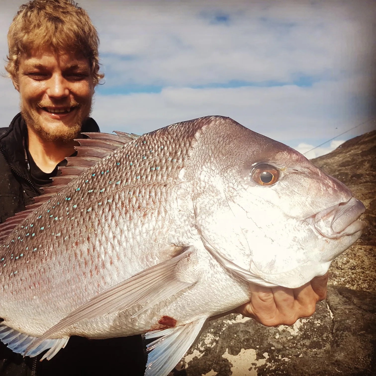 Australasian snapper caught on Fishbrain