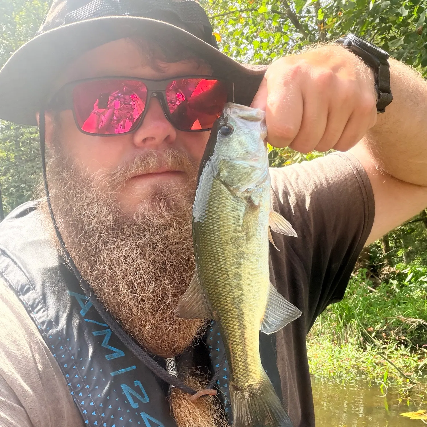 Largemouth bass caught on Fishbrain