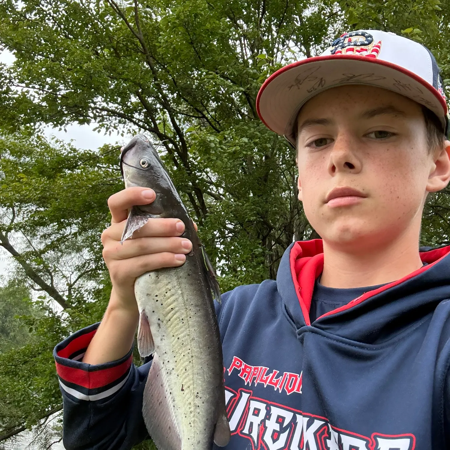 Channel catfish caught on Fishbrain