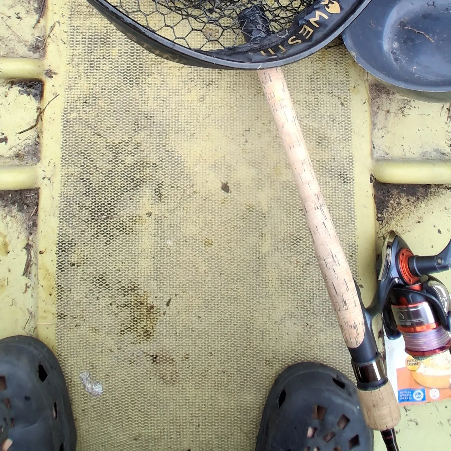Common bream caught on Fishbrain