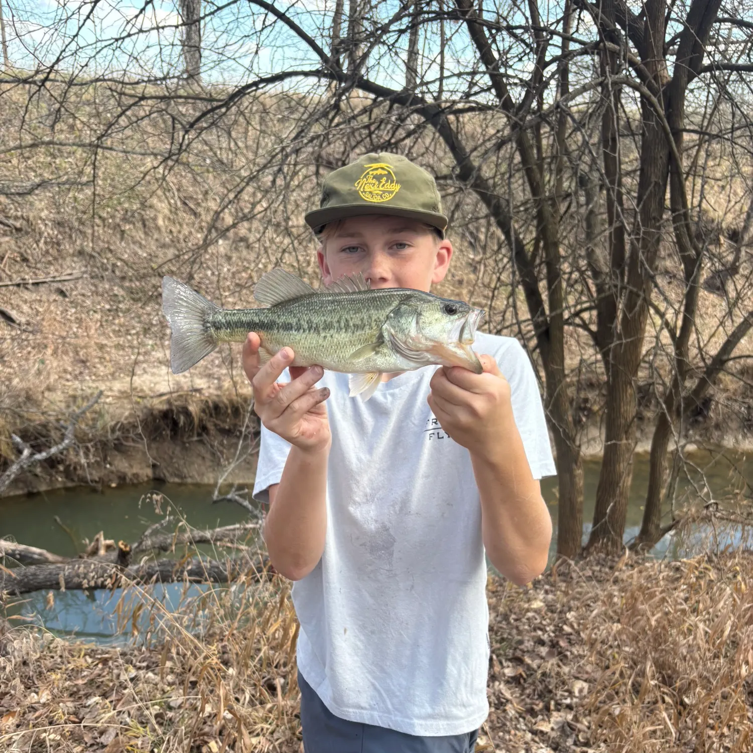 Fish caught on Fishbrain