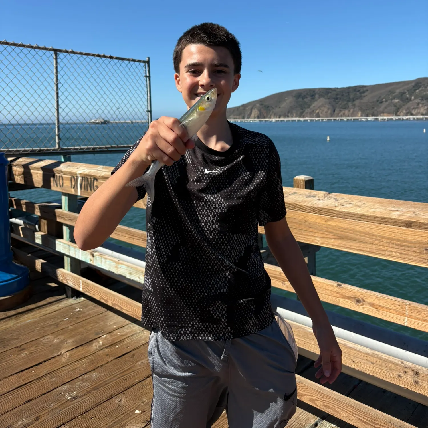 The most recent Jack silverside catches on Fishbrain
