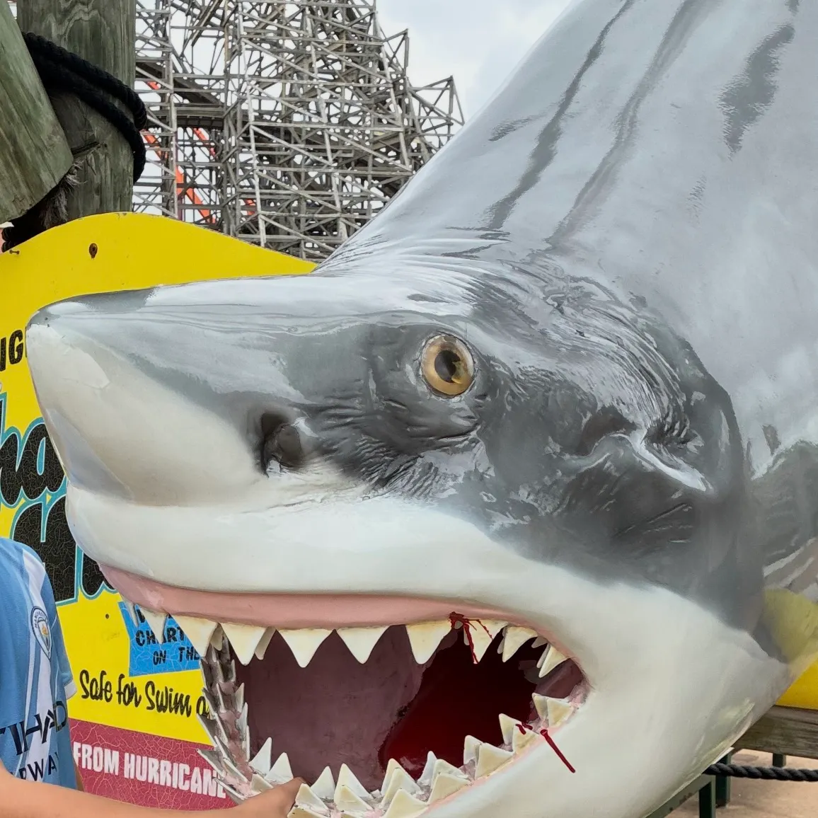 The most recent Great white shark catches on Fishbrain