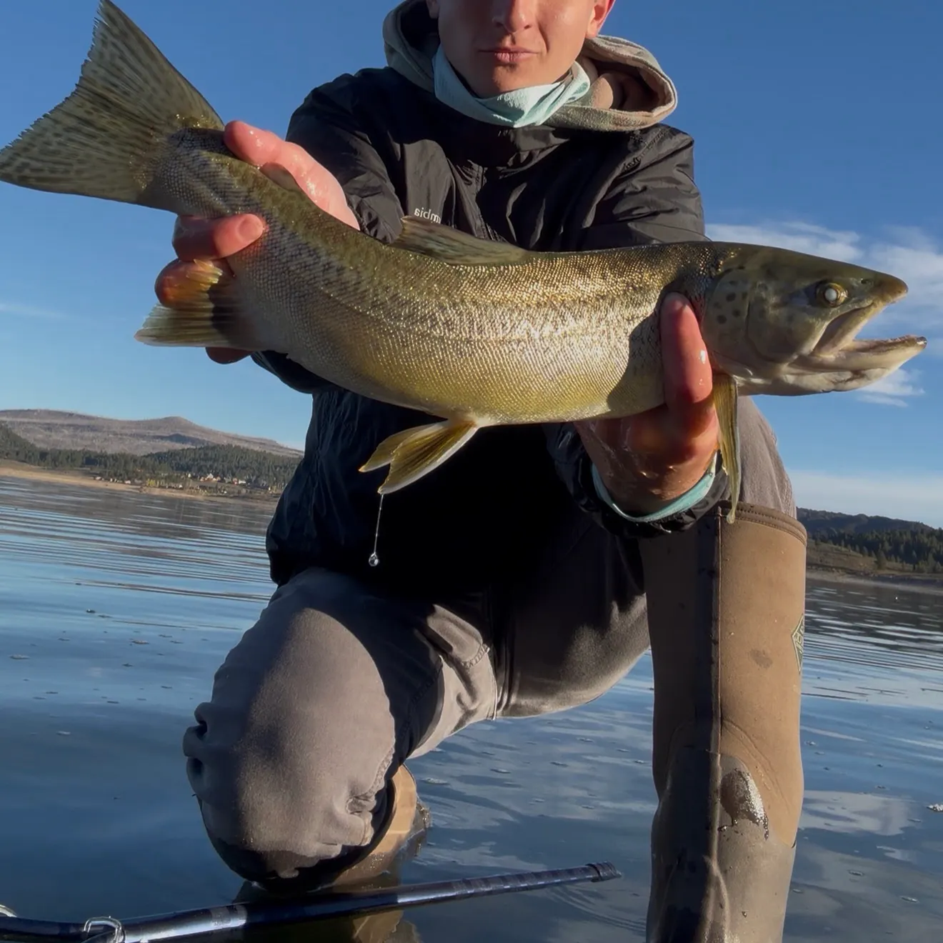 Tiger trout caught on Fishbrain