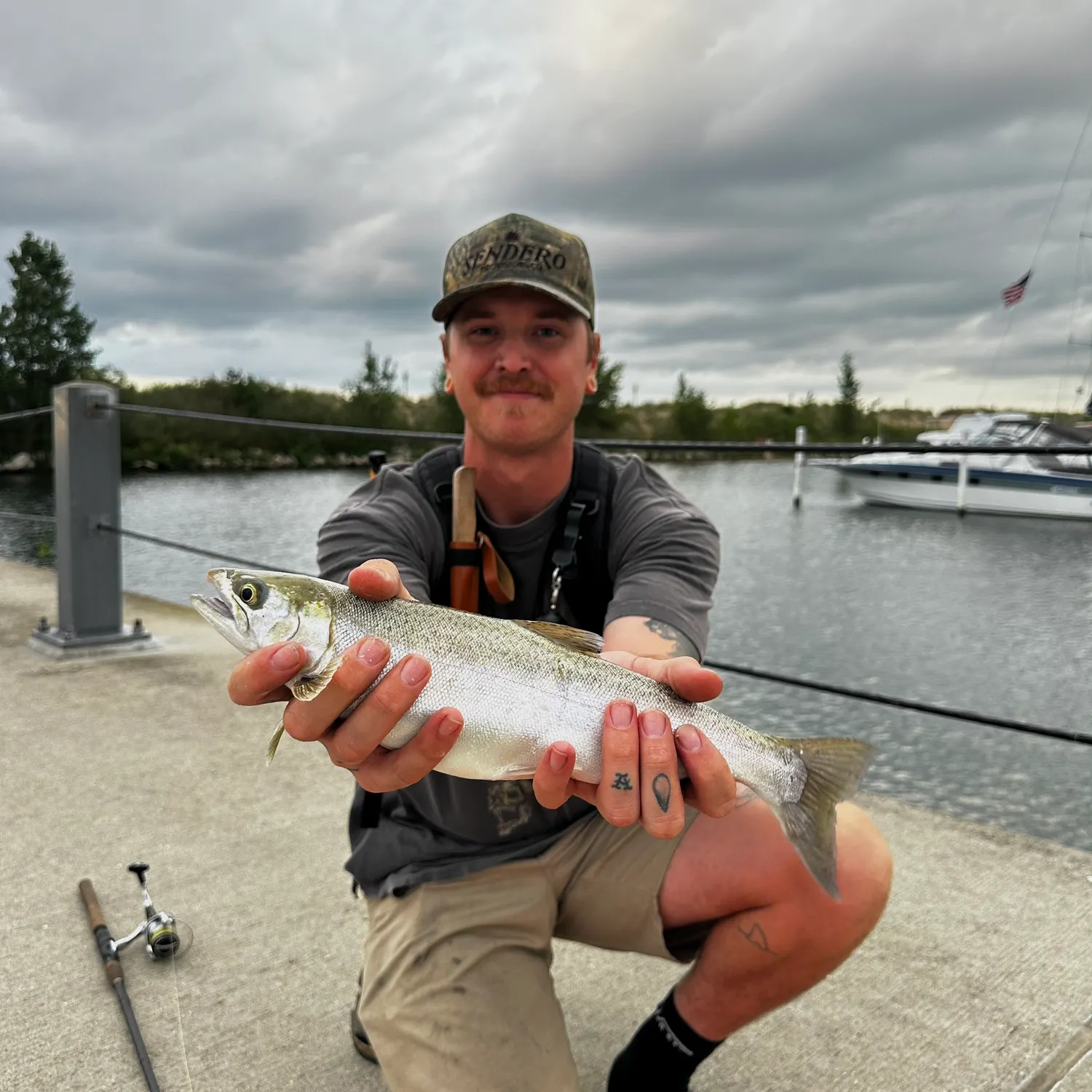 Chinook salmon caught on Fishbrain