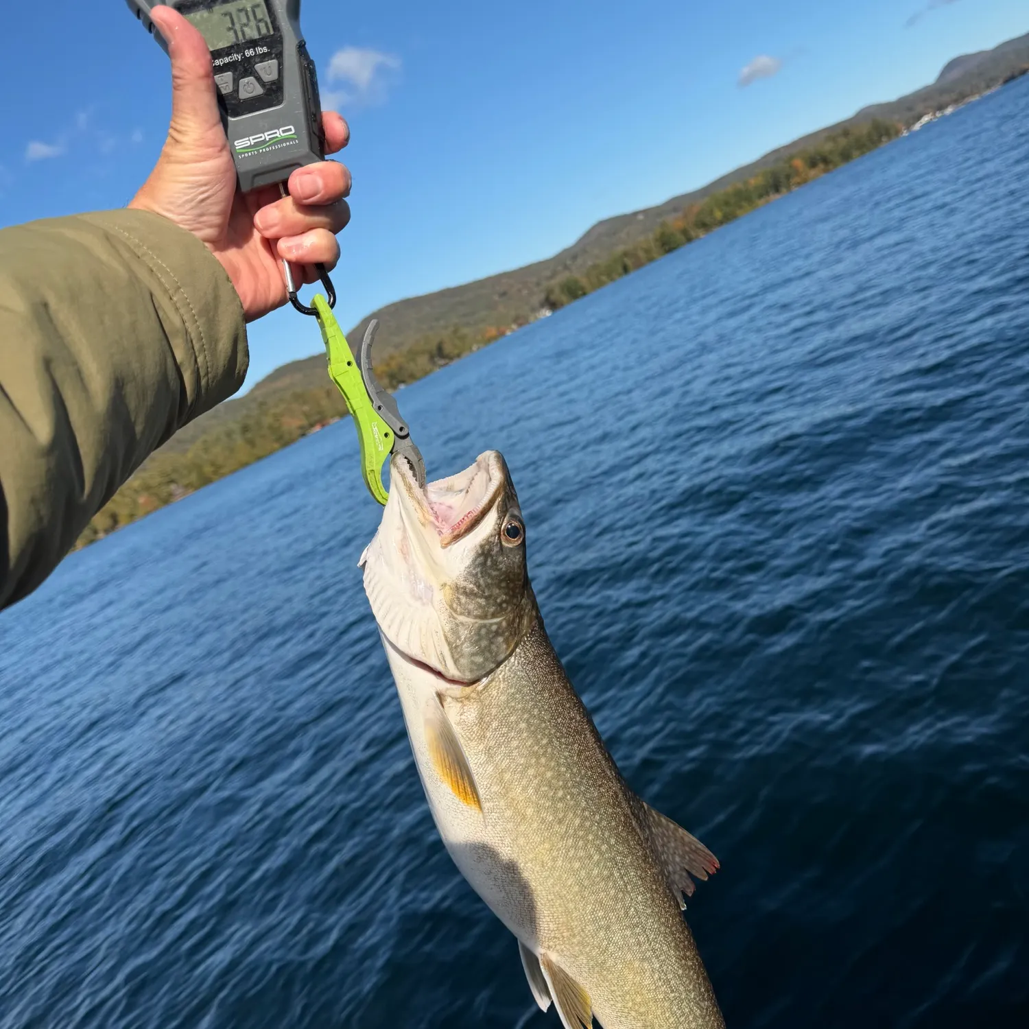 Lake char caught on Fishbrain
