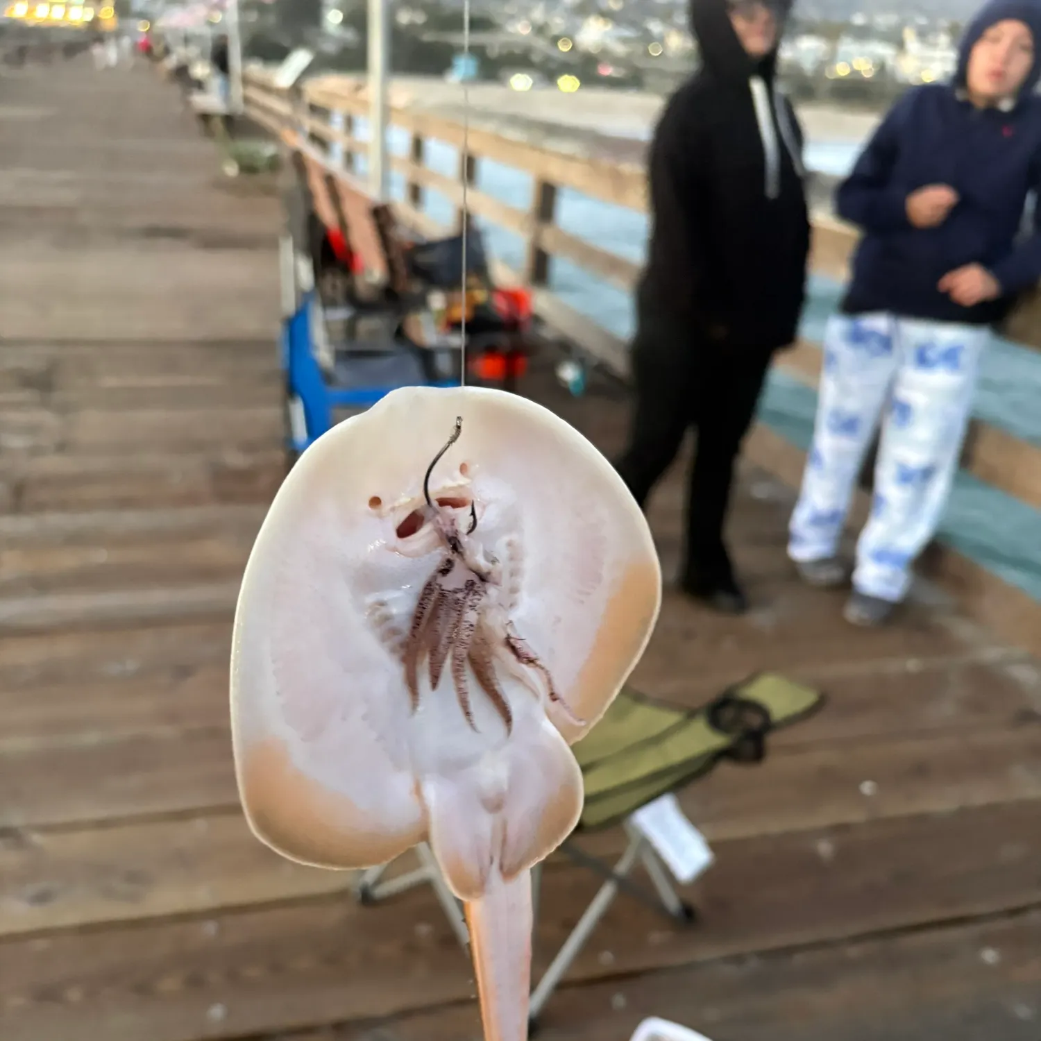 catch