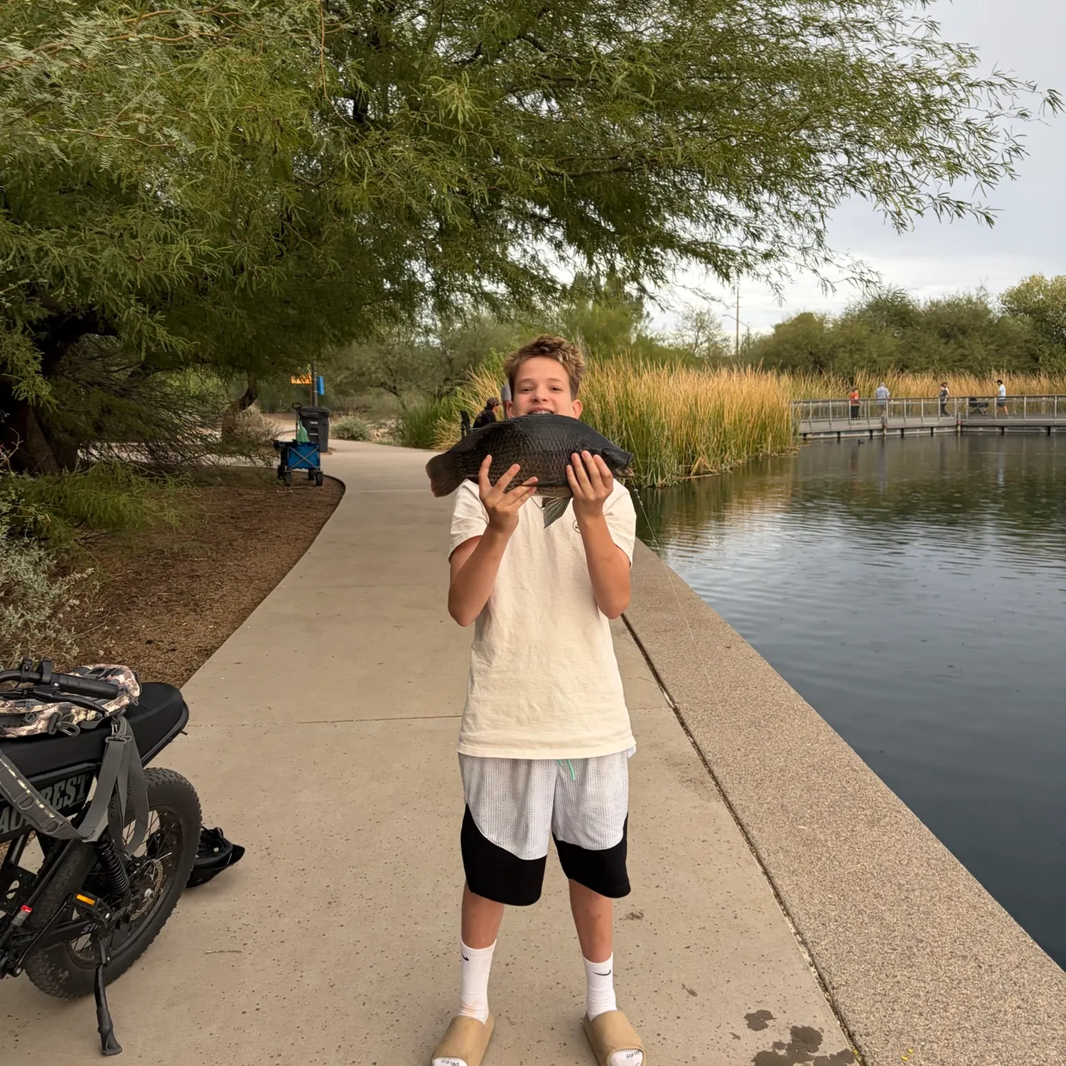 Nile tilapia caught on Fishbrain