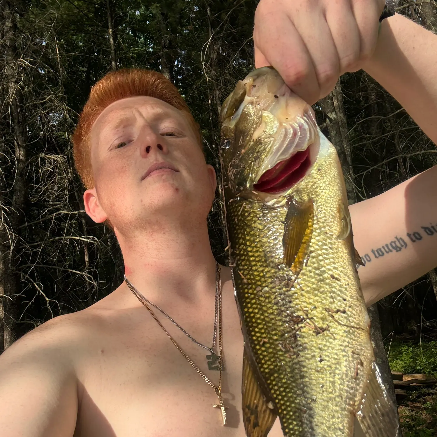 The most recent Common octopus catches on Fishbrain