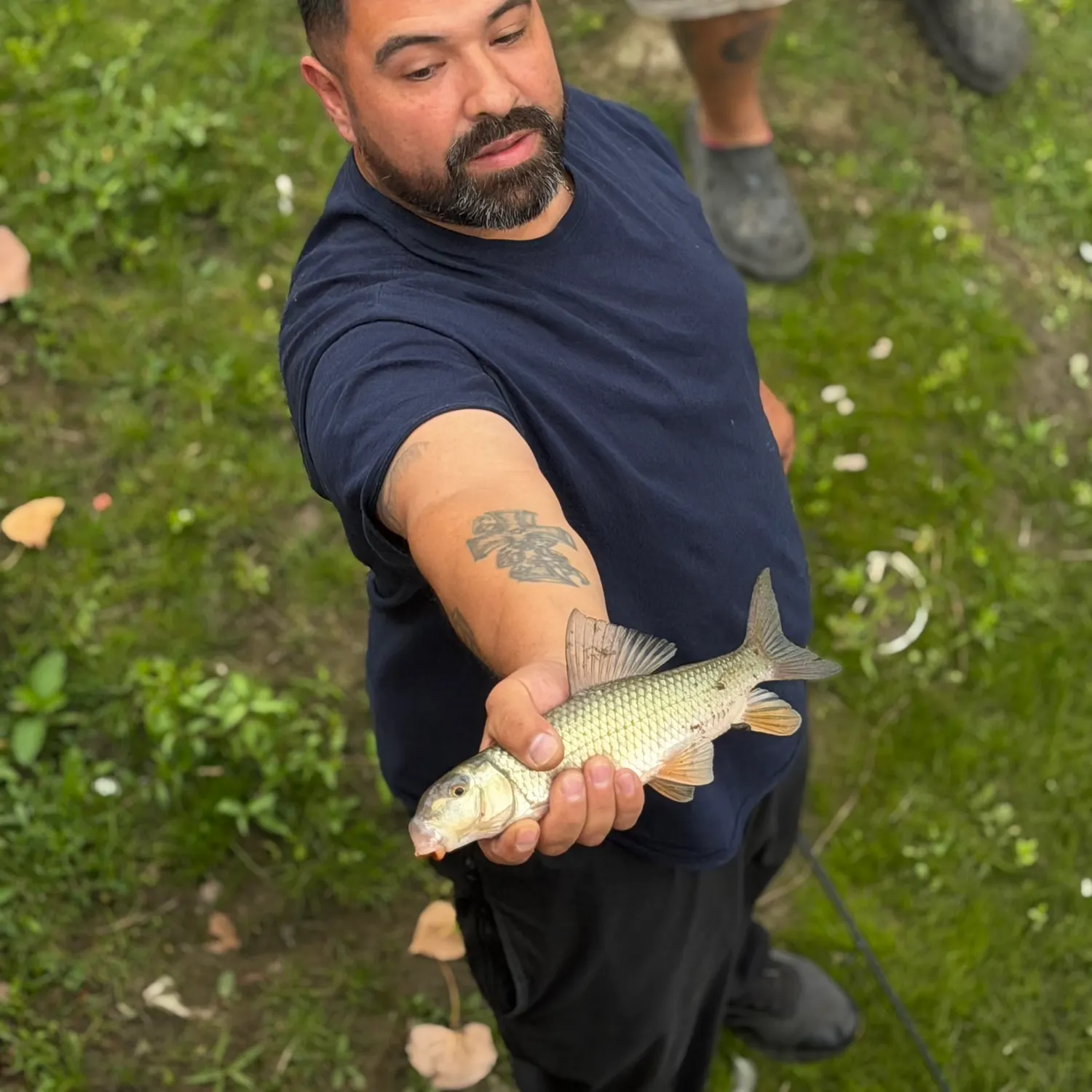The most recent Silver redhorse catches on Fishbrain