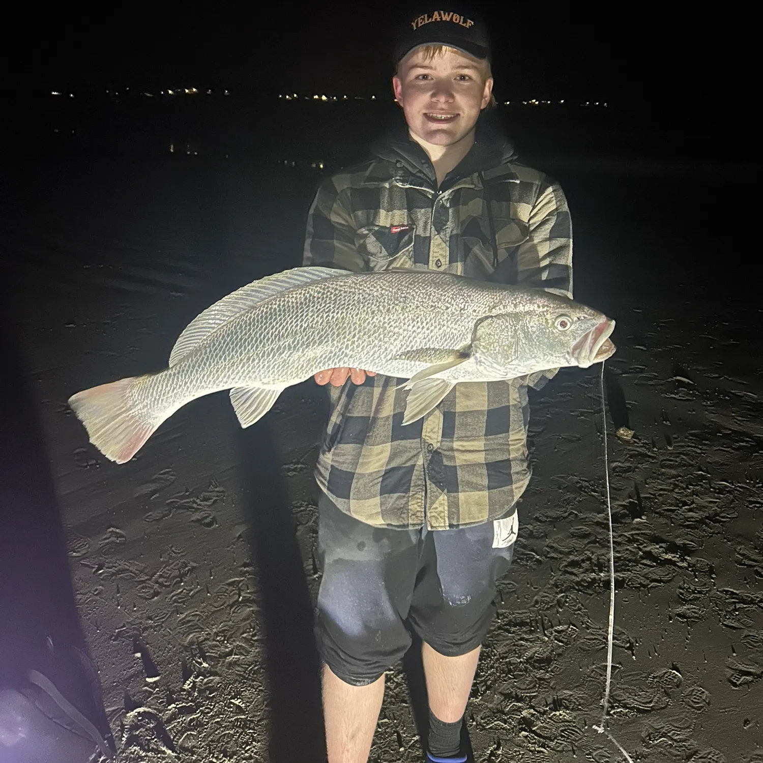 The most recent Japanese meagre catches on Fishbrain