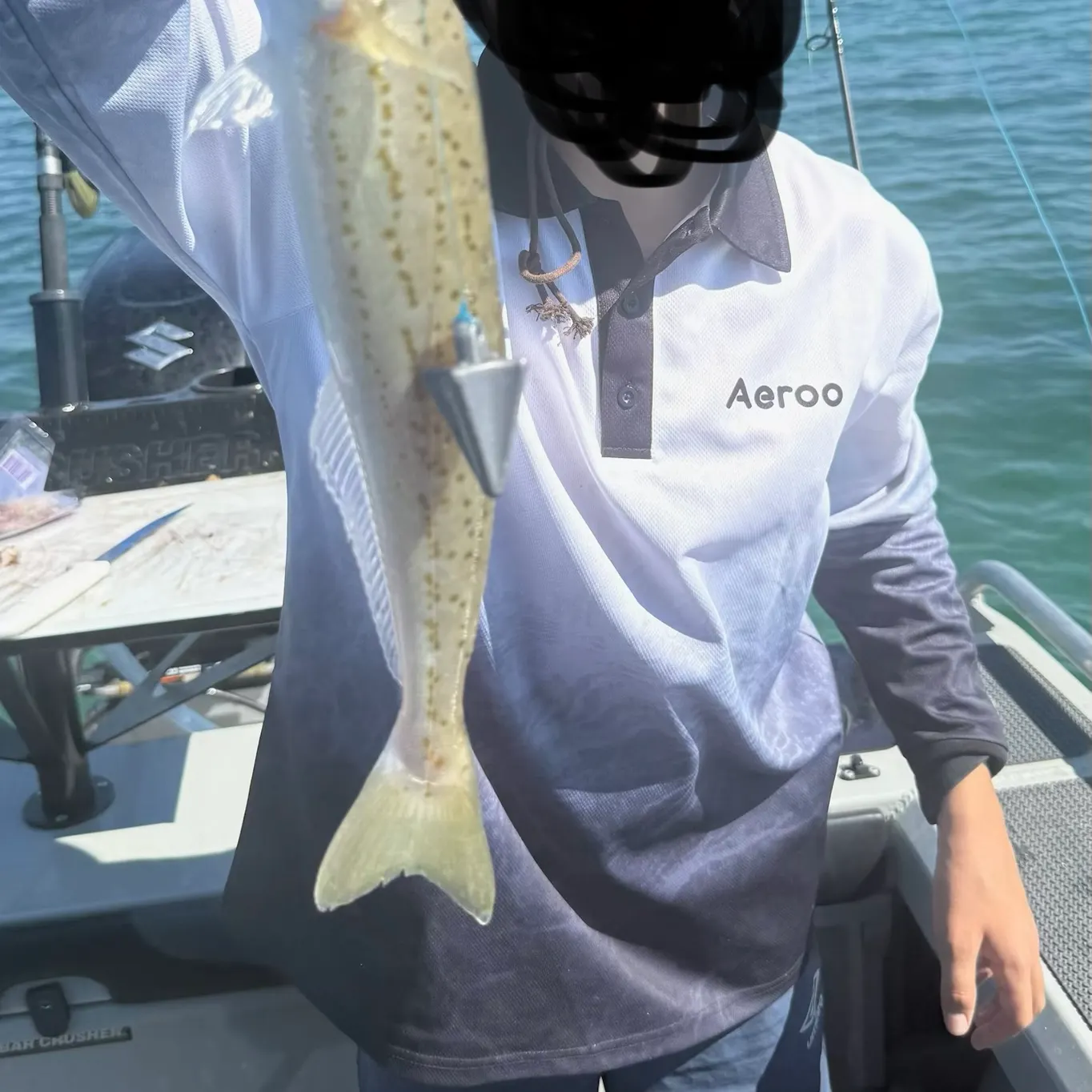 The most recent King George whiting catches on Fishbrain