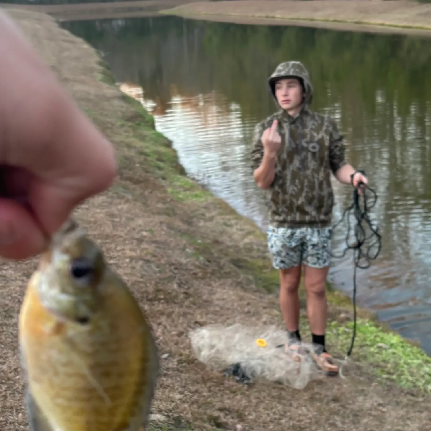 The most recent Bluegill catches on Fishbrain