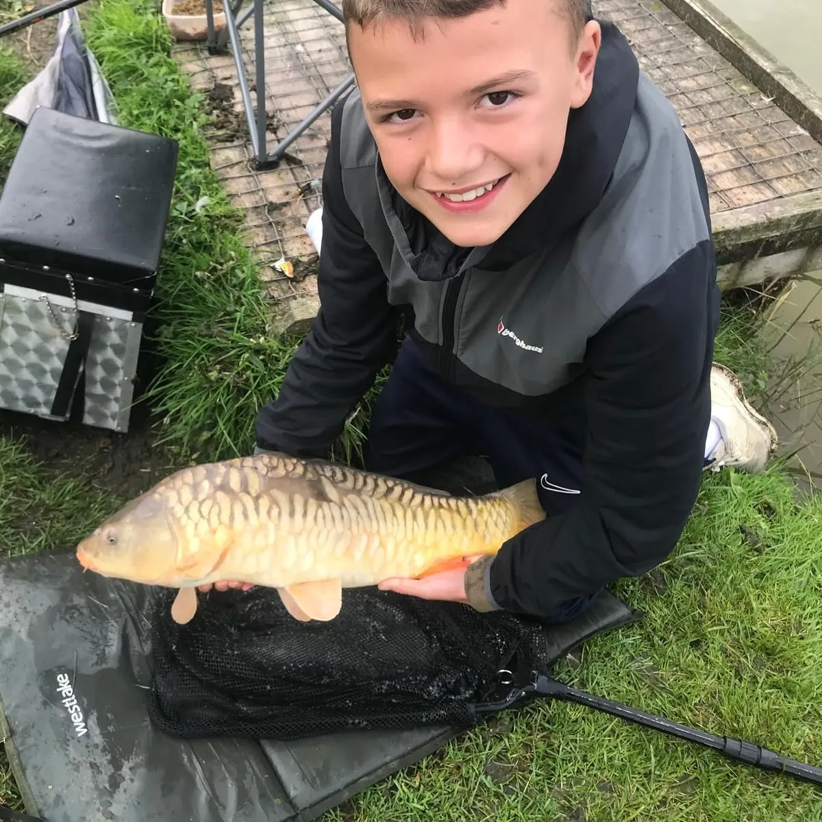 Mirror carp caught on Fishbrain