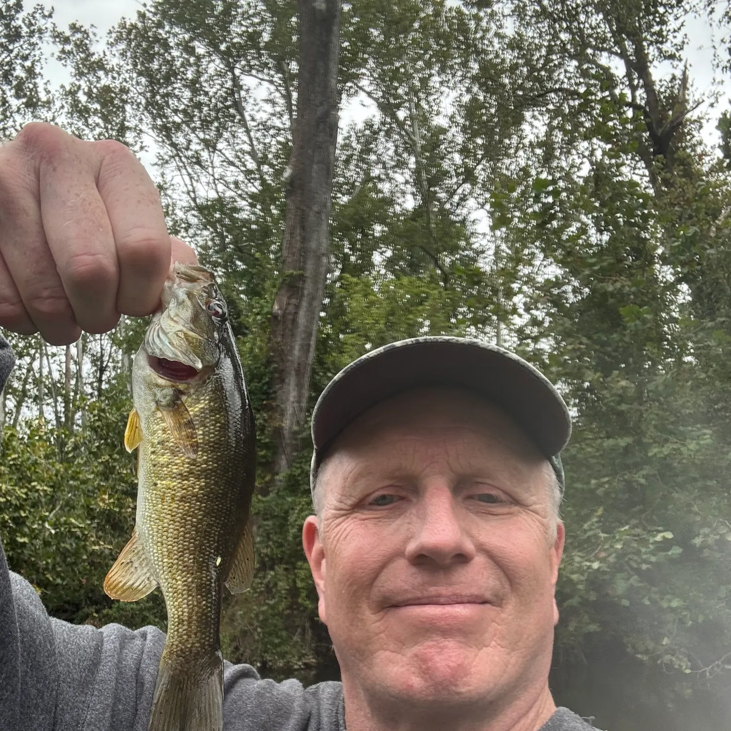 Smallmouth bass caught on Fishbrain