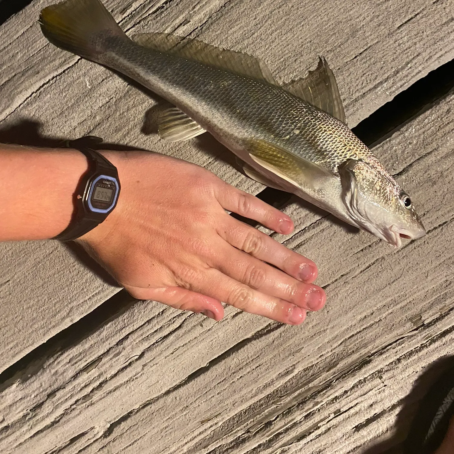 catch
