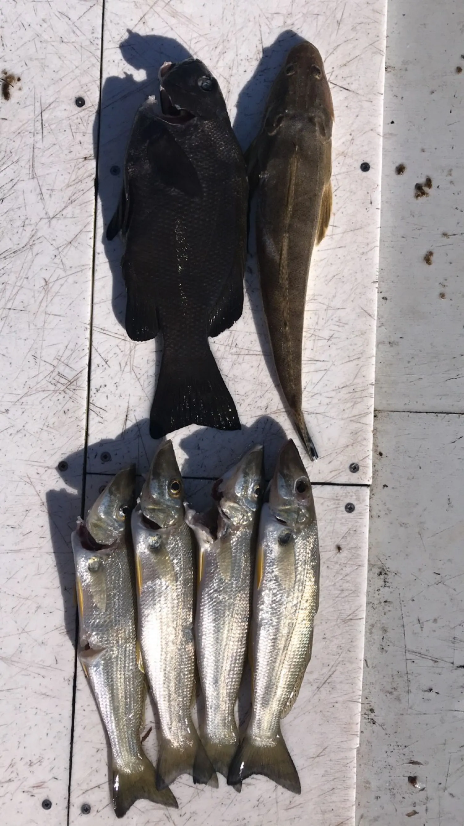 Post image from agriffin2313