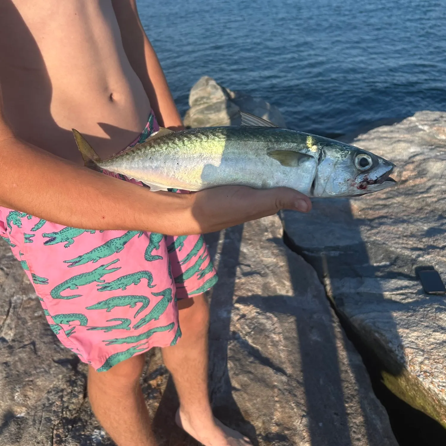 most liked catch image