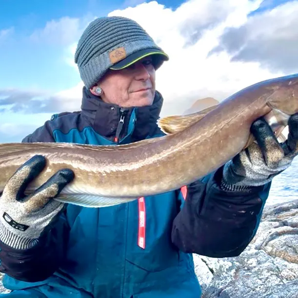 The most recent Red hake catches on Fishbrain