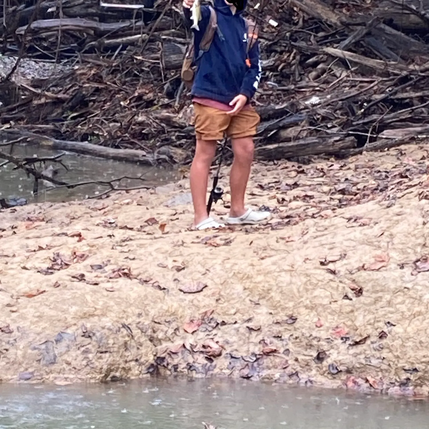 Spotted bass caught on Fishbrain