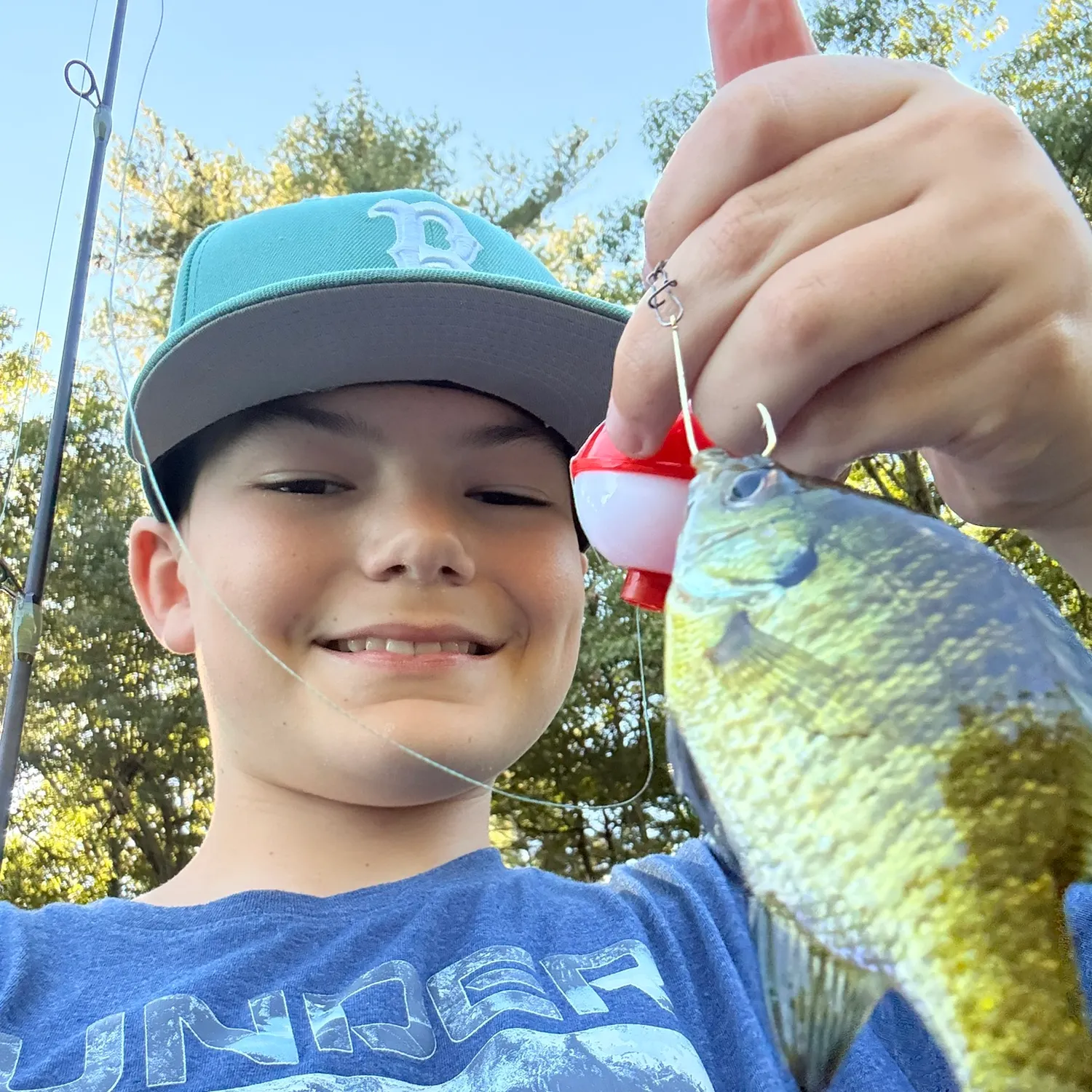 Bluegill caught on Fishbrain
