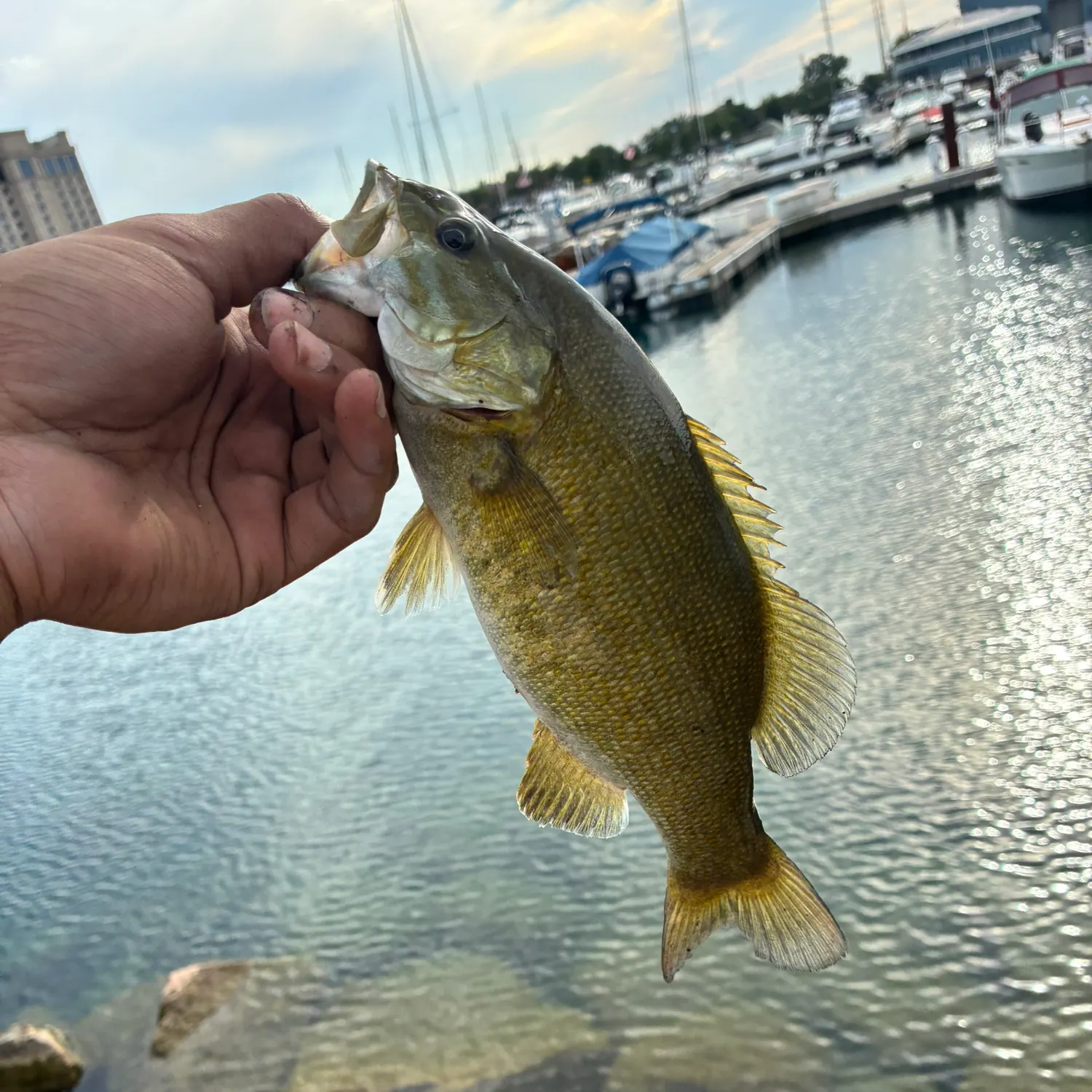 catch
