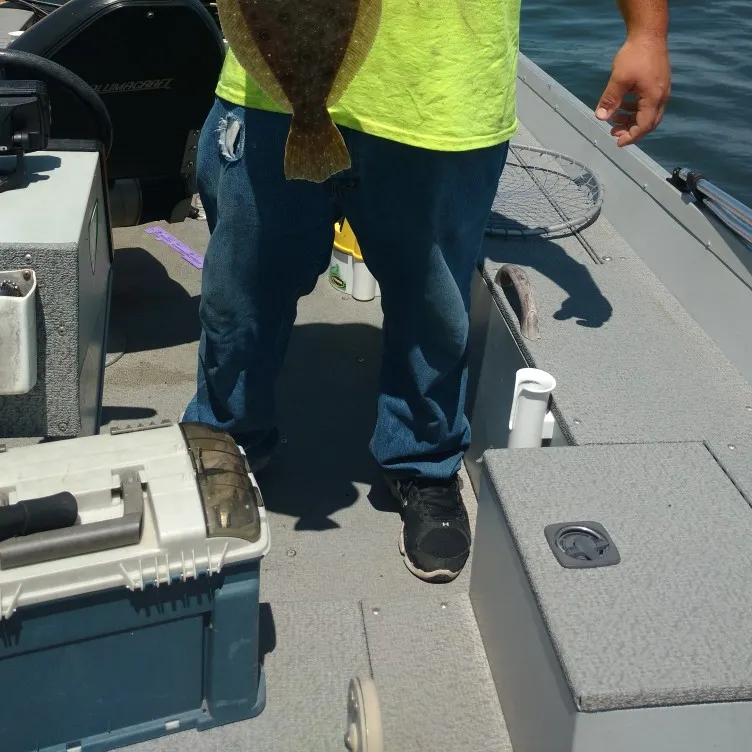angler catch