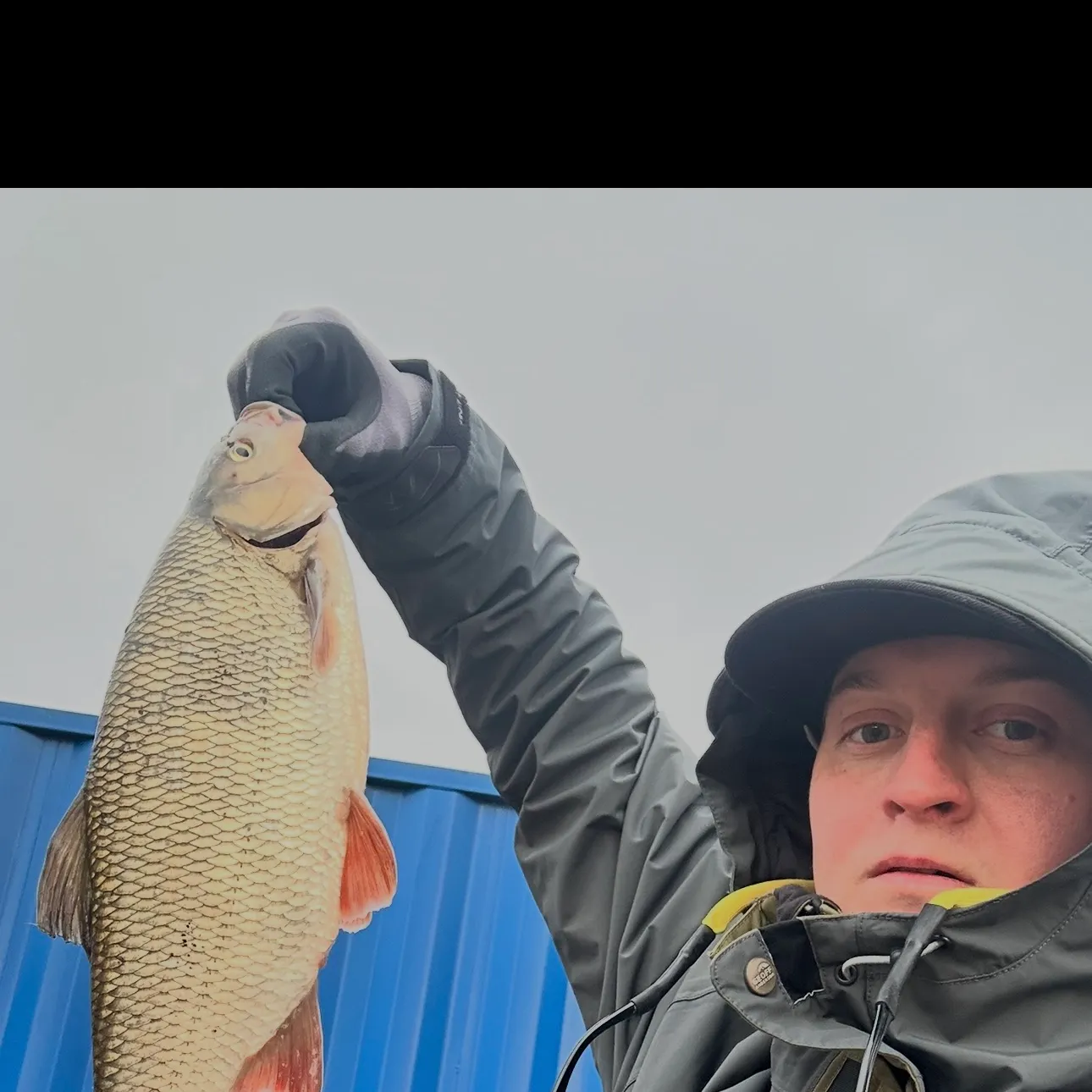 The most recent Ide catches on Fishbrain