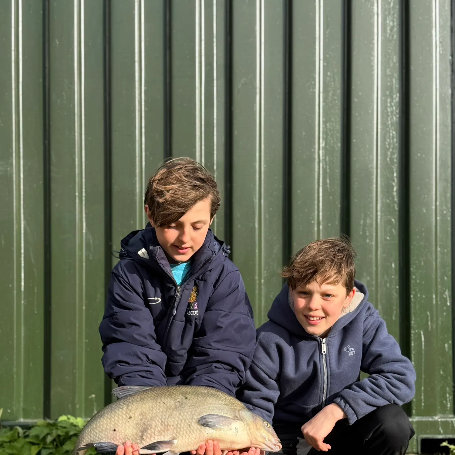 The most recent Common bream catches on Fishbrain