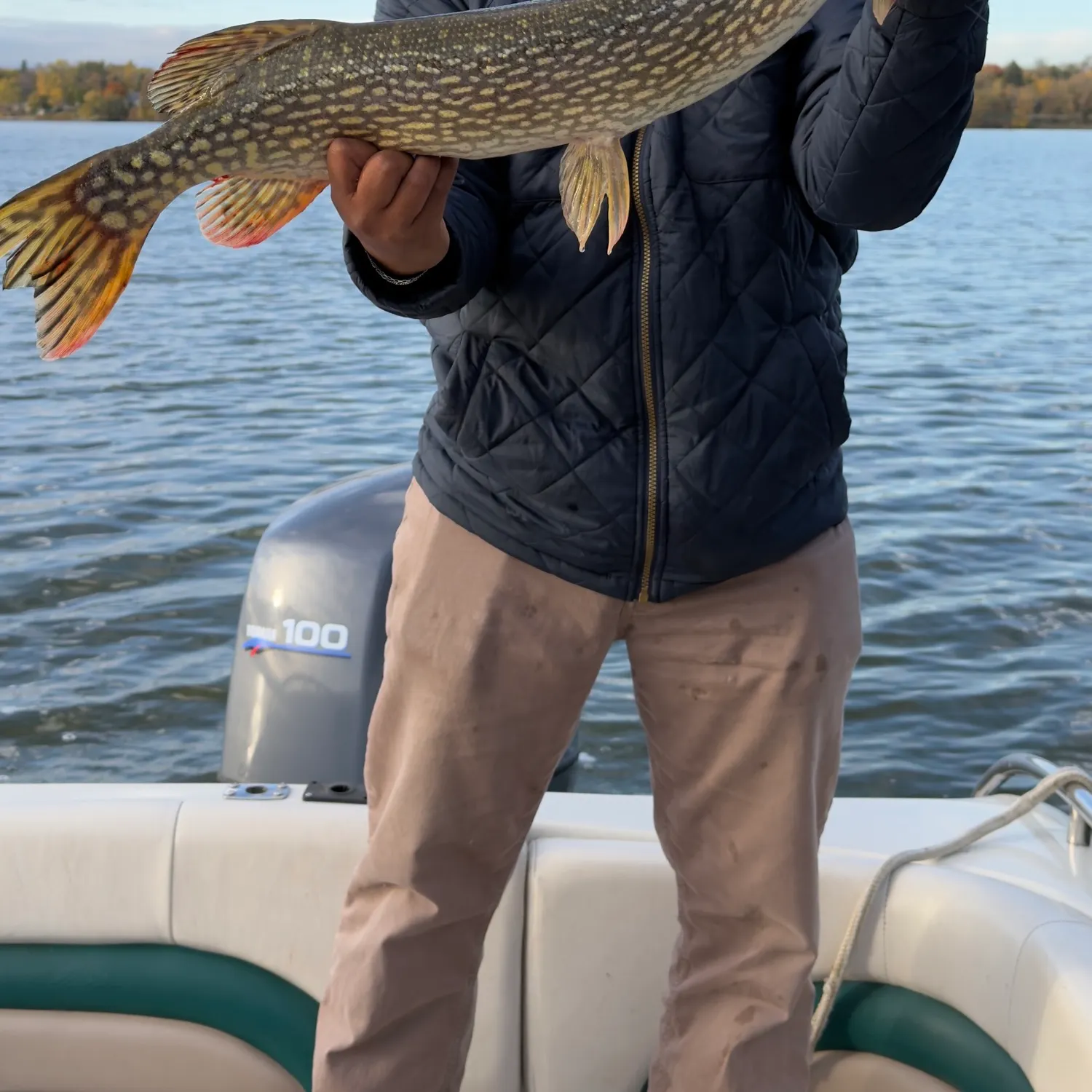 Northern pike caught on Fishbrain
