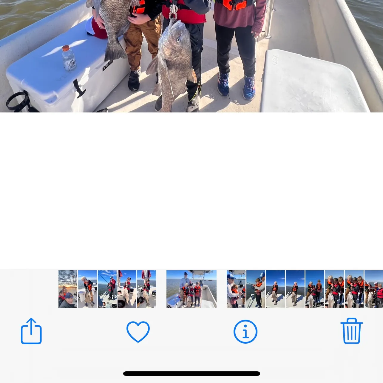 recently logged catches