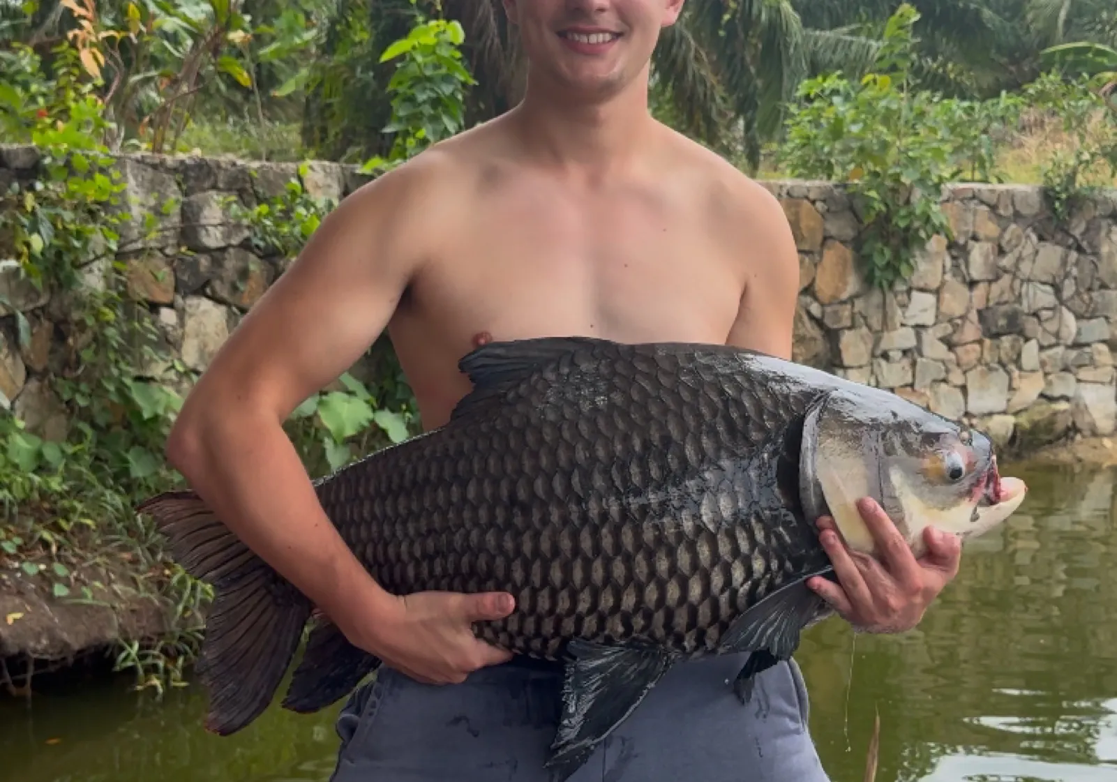 Siamese carp