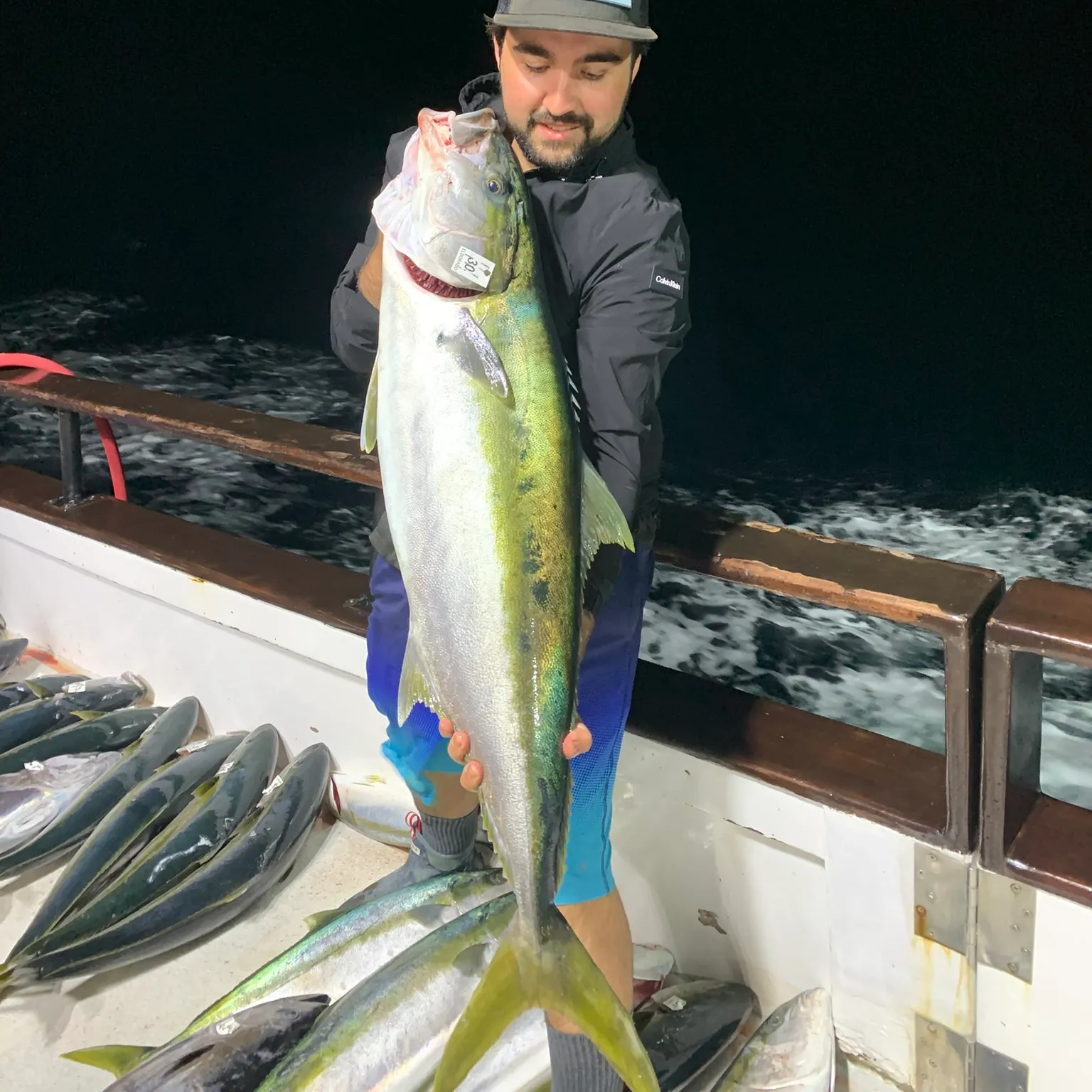 The most recent California yellowtail amberjack catches on Fishbrain