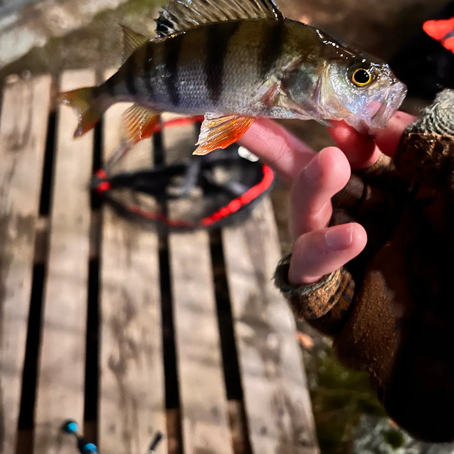 catch