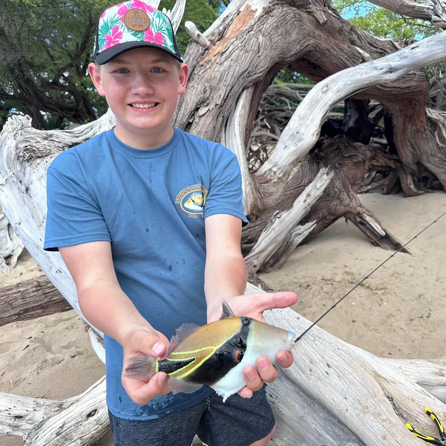 The most recent Wedge-tail triggerfish catches on Fishbrain