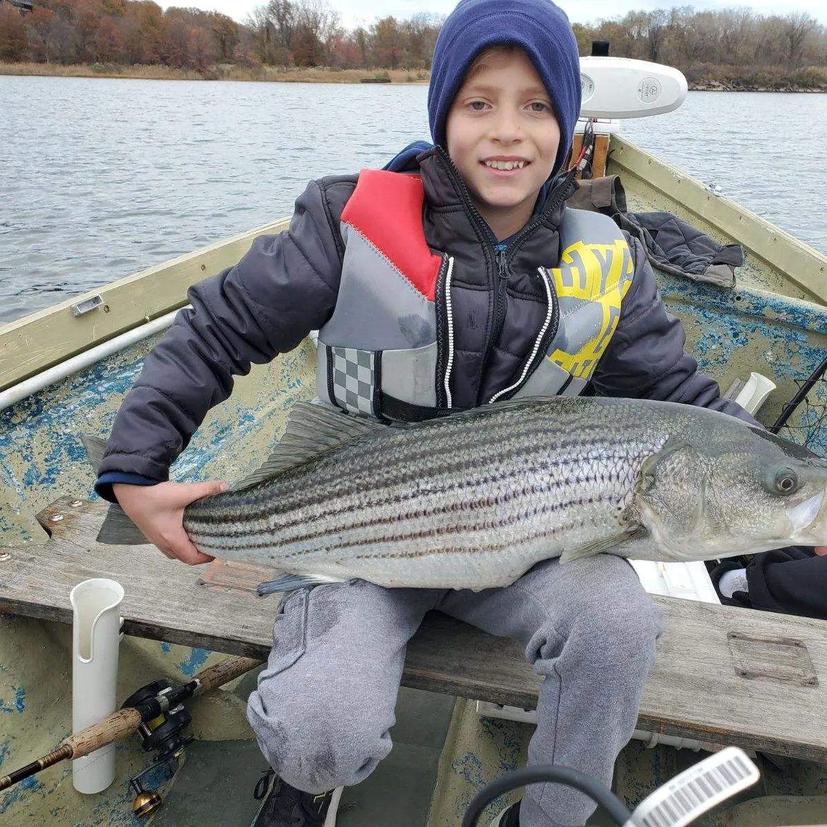 The most recent Striped bass catches on Fishbrain