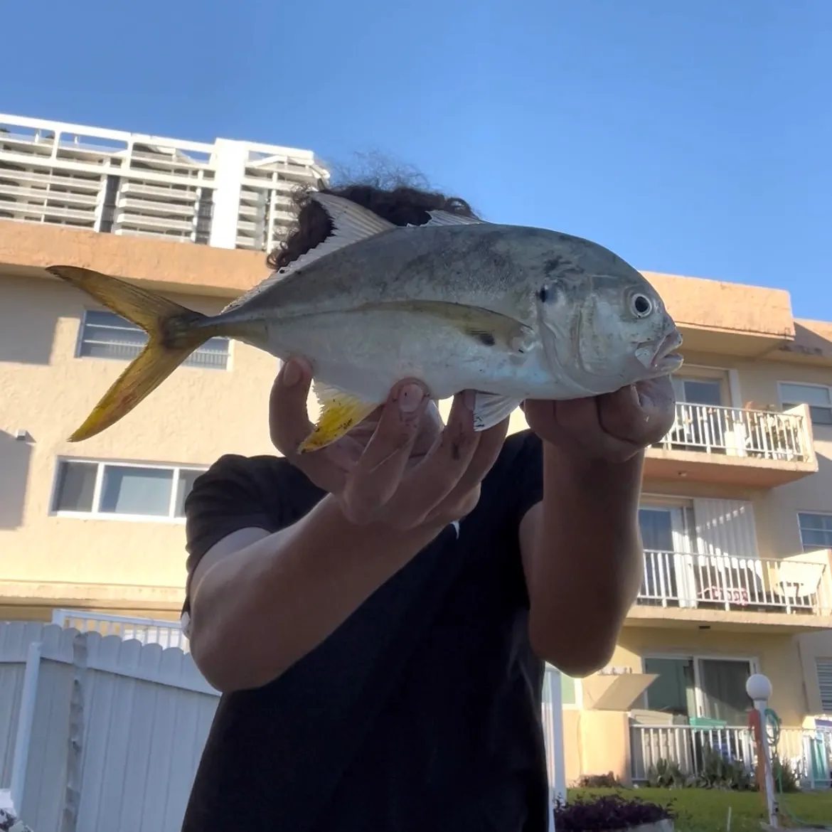 Crevalle jack caught on Fishbrain