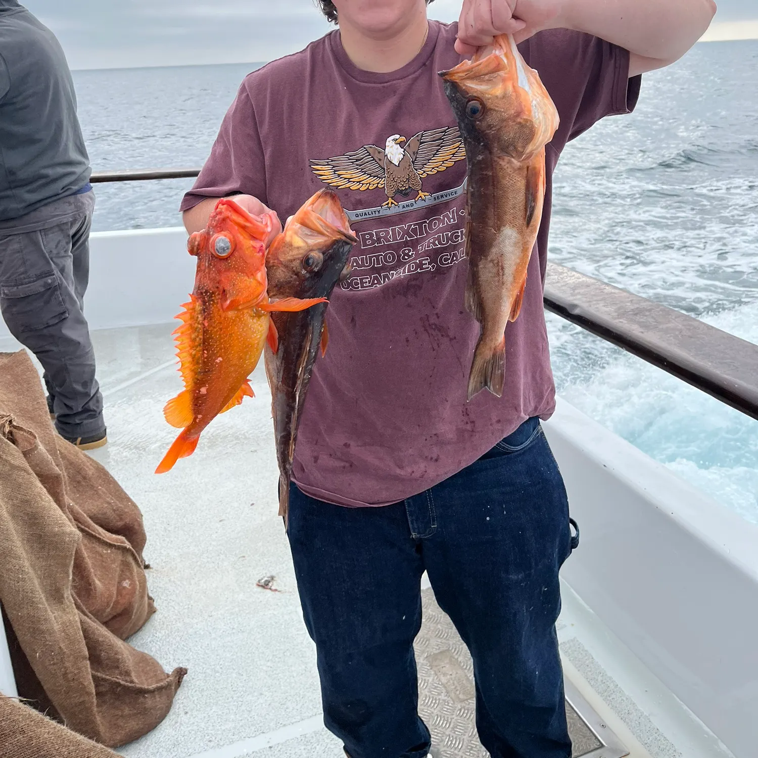 The most recent Starry rockfish catches on Fishbrain