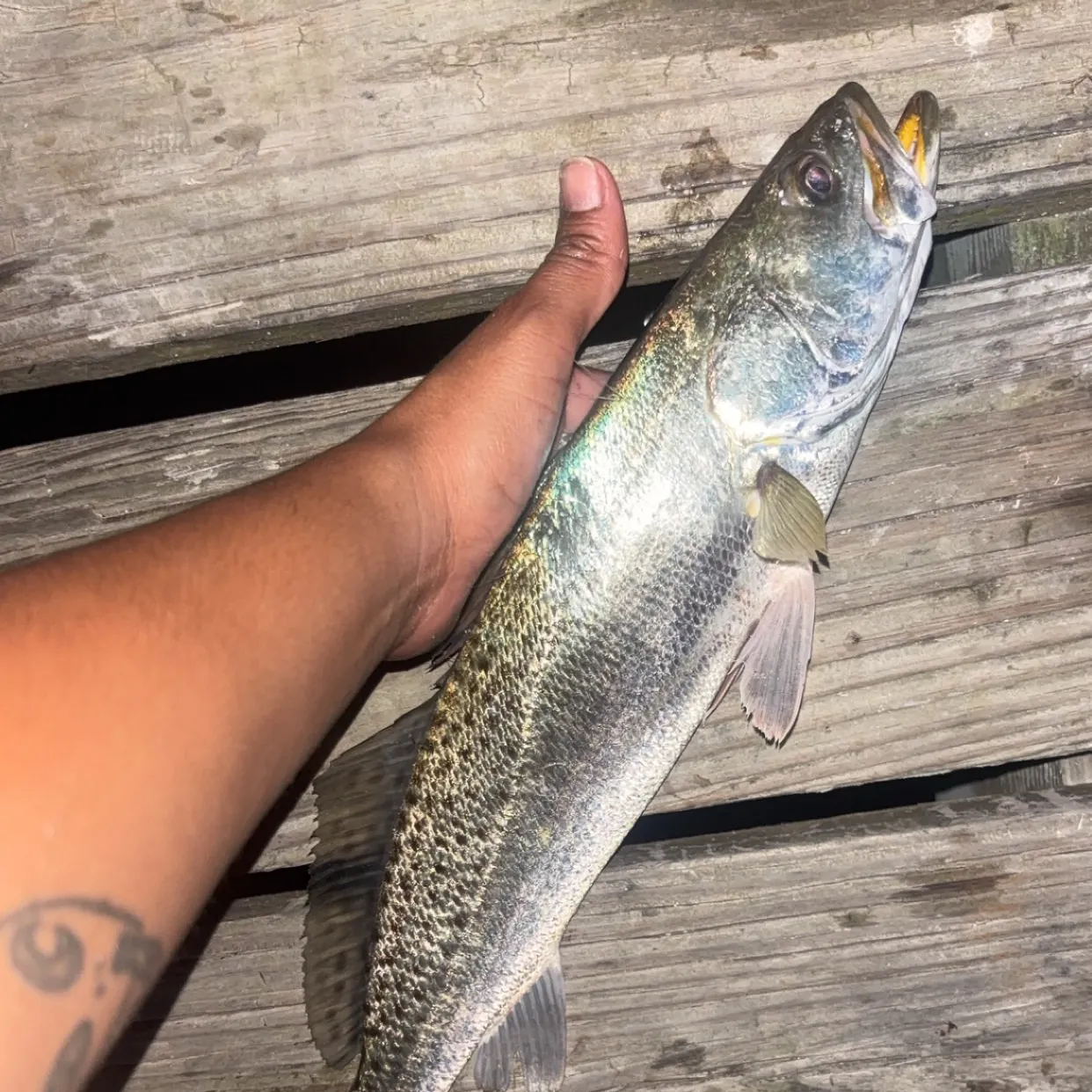 catch