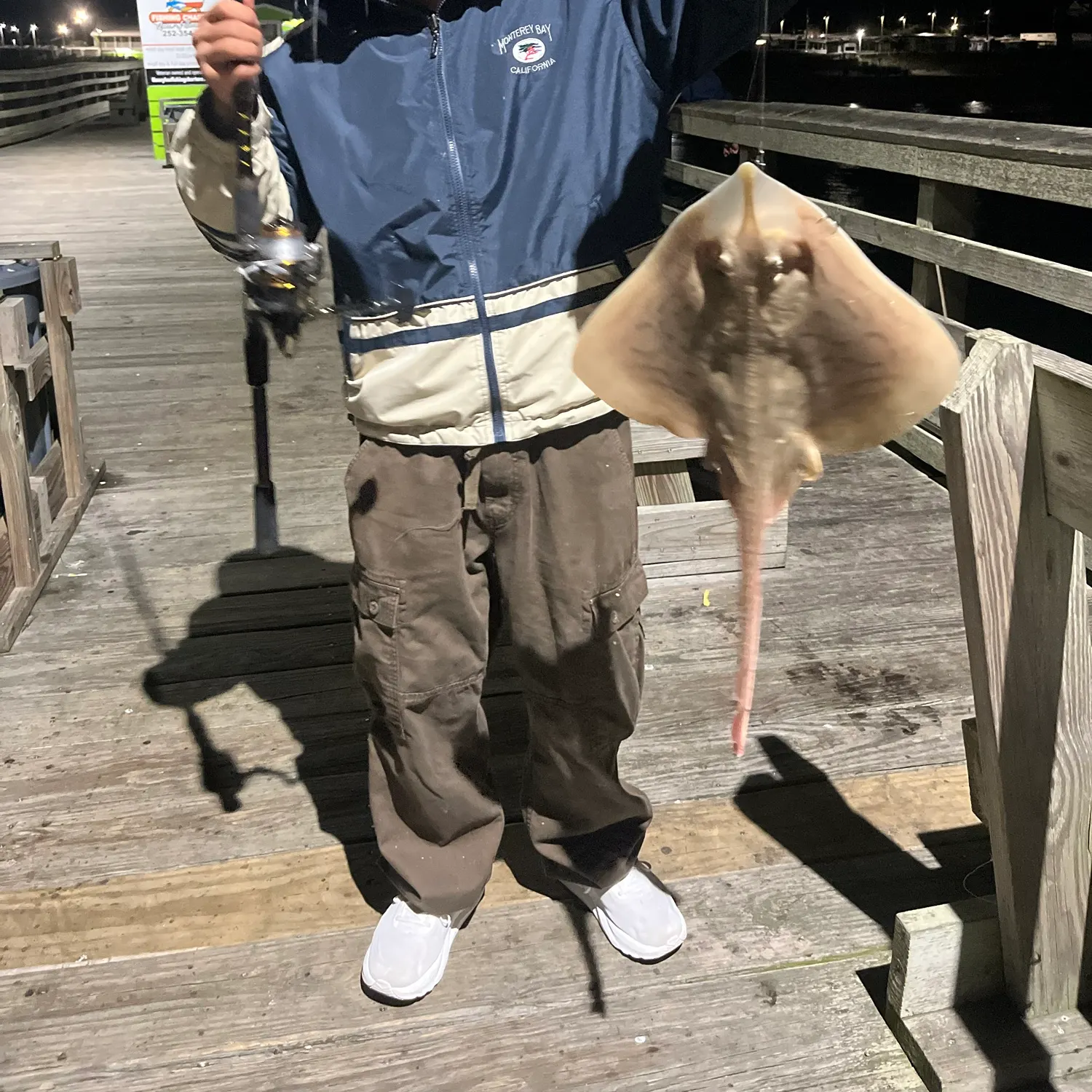 Atlantic stingray caught on Fishbrain