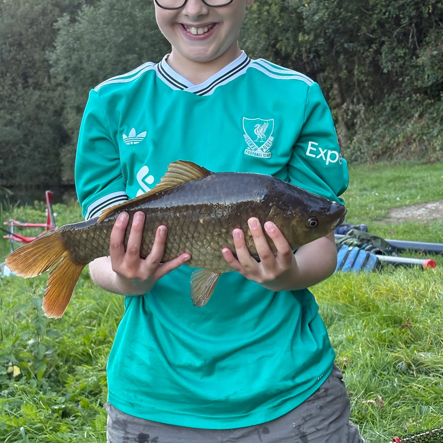 Common carp caught on Fishbrain