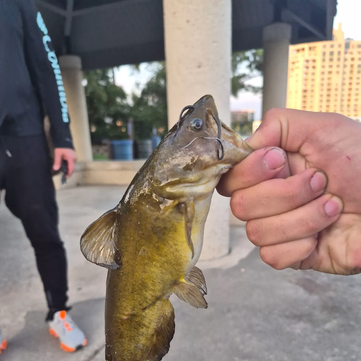 catch