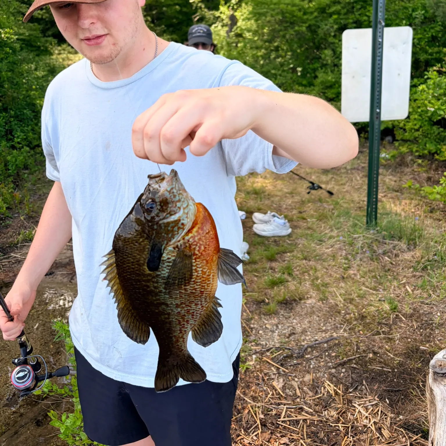 catch