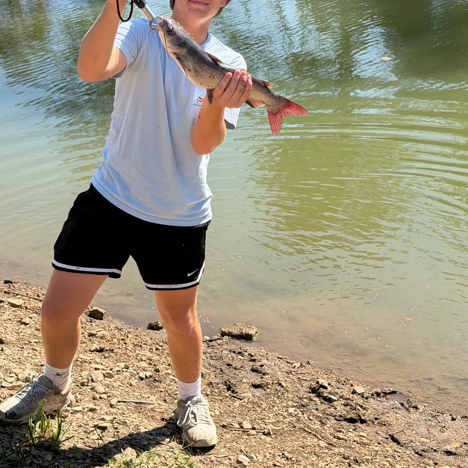 Channel catfish caught on Fishbrain