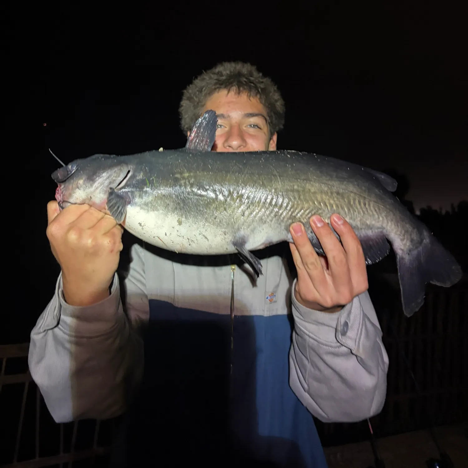 Channel catfish caught on Fishbrain