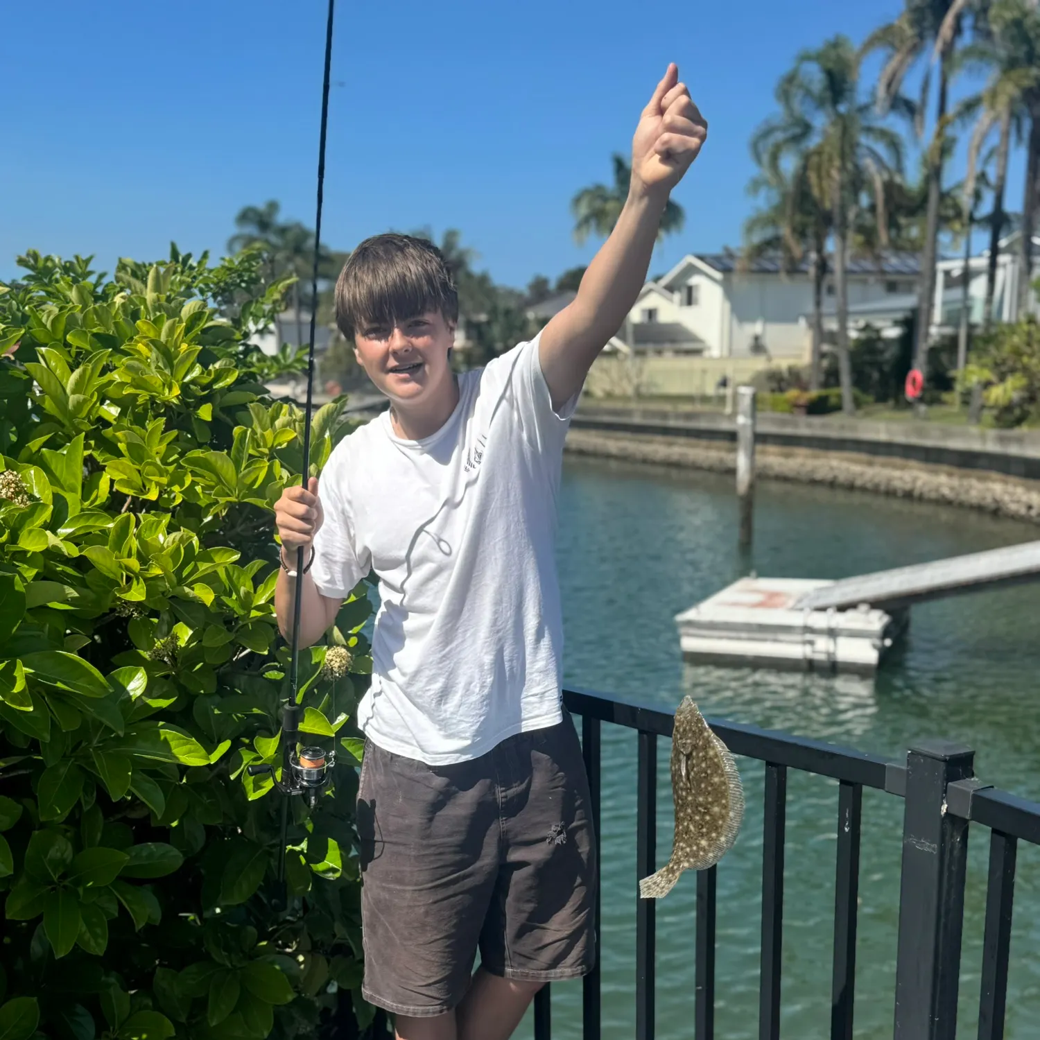 The most recent Black flounder catches on Fishbrain