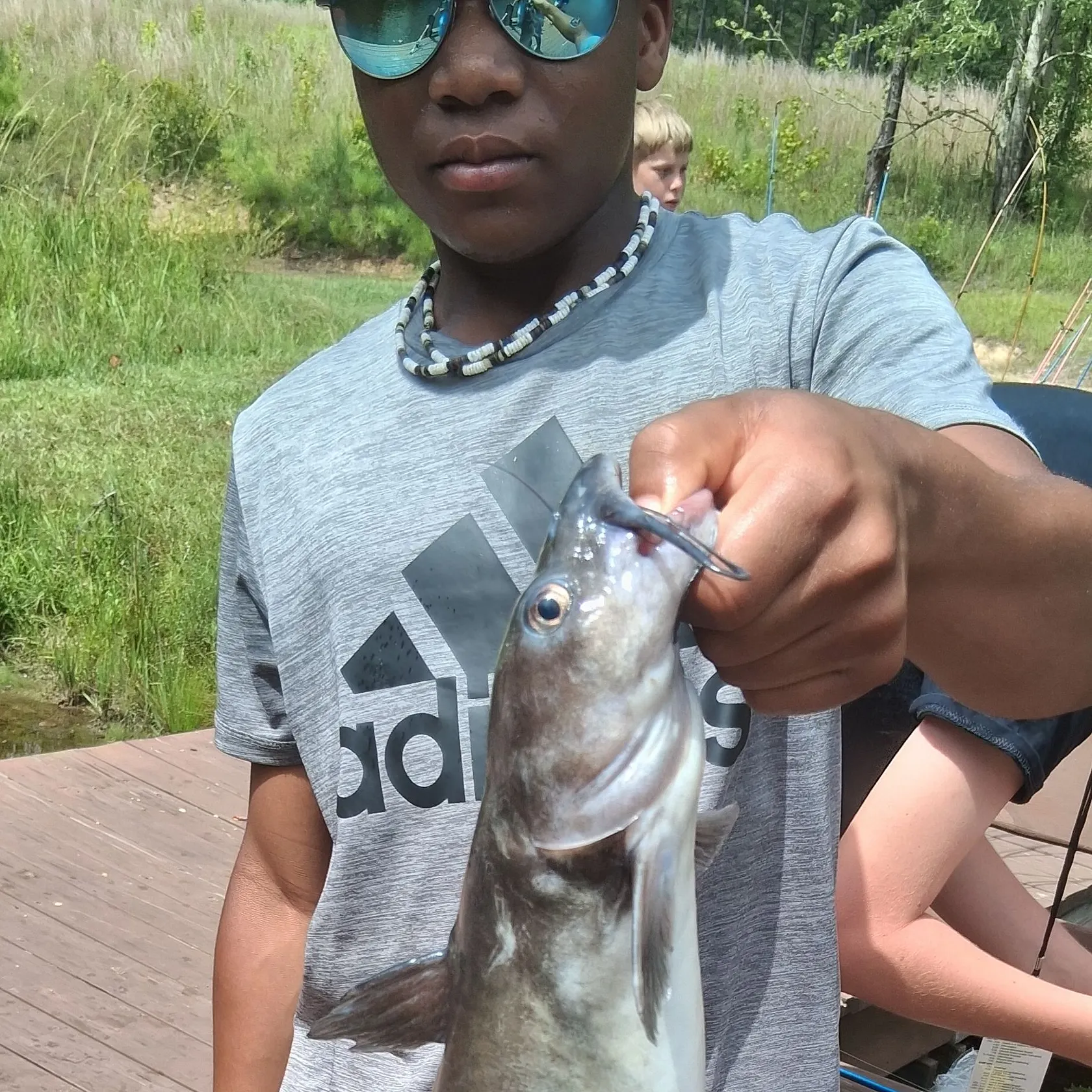 Channel catfish caught on Fishbrain
