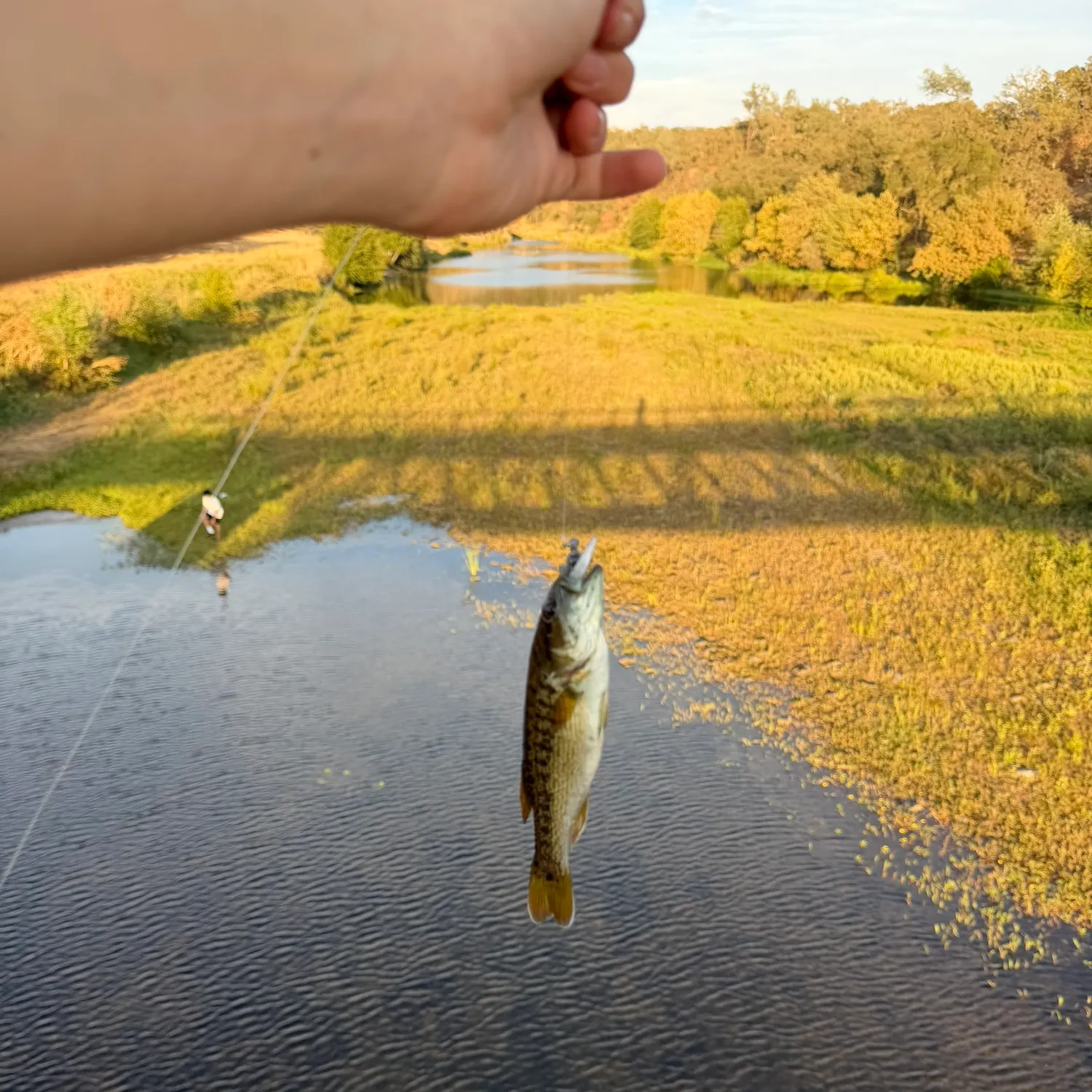 Redeye bass caught on Fishbrain